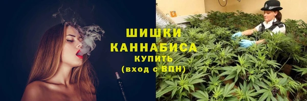 гашик Аркадак