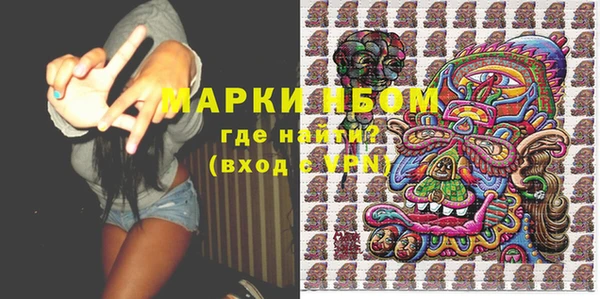 гашик Аркадак