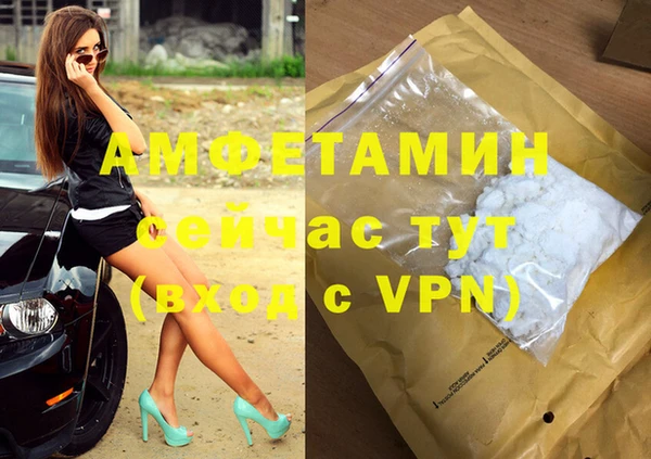 гашик Аркадак
