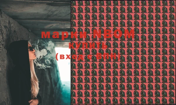 гашик Аркадак